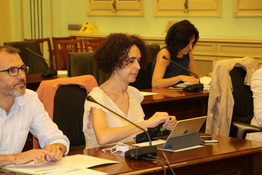 La diputada Patrícia Font durant la comissió parlamentària